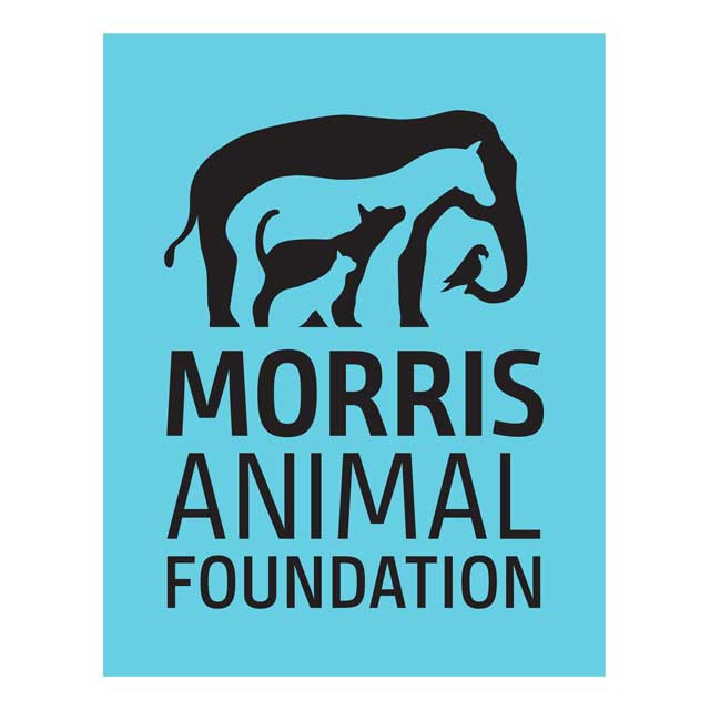 Morris Animal Foundation | Scion Executive Search nonprofit executive search firm
