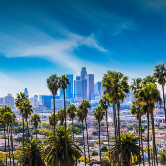 Los Angeles Nonprofit Executive Search Firm