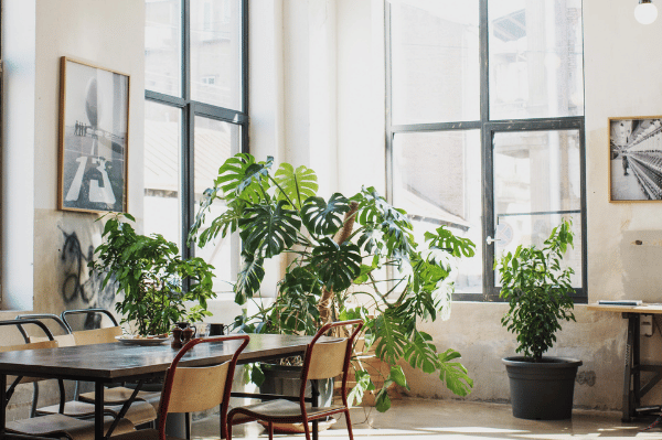 Thank you Employers Sustainable Business Practices image of office and large plant